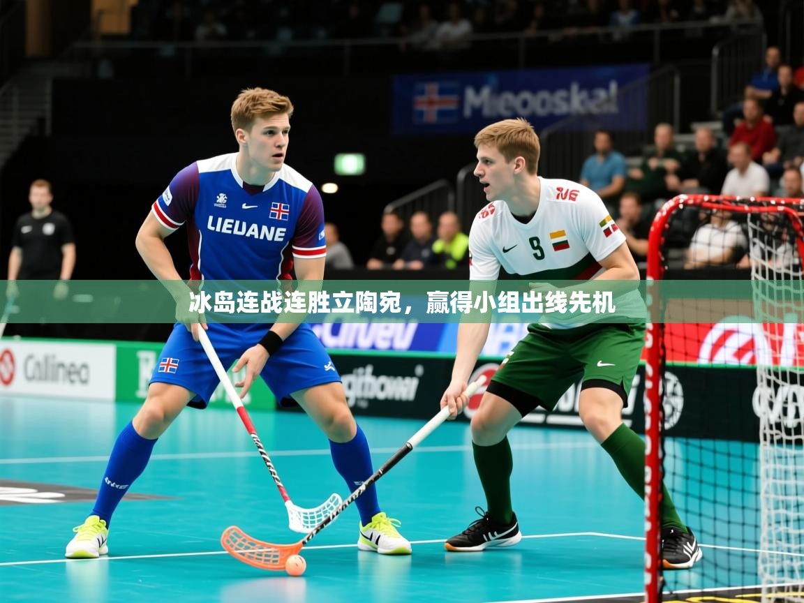 2025 意昂体育注册冰岛连战连胜立陶宛，赢得小组出线先机
